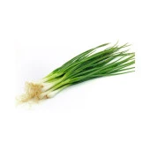 Yerli Ata Tohumu Yeşil Taze Soğan 50 Adet thumbnail 1