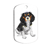 Cavalier Charles 2 Resimli Köpek Künyesi - 1