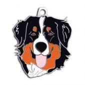 Avustralya Çoban Köpeği Köpek Künyesi - 1