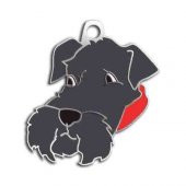 Schnauzer Köpek Künyesi - 1