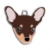 Pincher Köpek Künyesi - 1