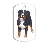 Bernese Mountain Resimli Köpek Künyesi - 1