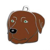 Chocolate Labrador Köpek Künyesi - 1