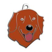 Kızıl Golden Retriever Köpek Künyesi - 1