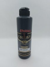 Cadence Akrilik Boya 250ML 0002 Siyah Ahşap Boyası - 1