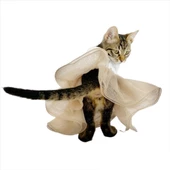 Sun Cream Tütülü Kedi Elbisesi, Kıyafeti Tutu - 3