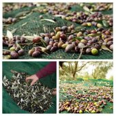 3X8 METRE ZEYTİN SERGİSİ ZEYTİN TOPLAMA FİLESİ FINDIK FISTIK ÖRTÜSÜ GÖLGELİK DUT MEYVE SERGİSİ TABAN ÖRTÜSÜ - 2