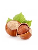 Fındık Fidanı Giresun Yağlısı, 80-100 cm, Torbalı - 1