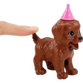 Barbie Bebek ve Köpek Partisi Oyun Seti GXV74 - GXV75 thumbnail 3