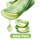 Baby Turco Softcare Aloe Vera Islak Bebek Havlusu 12x90 Yaprak - 4