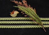 ALKA DANTEL MERSERİZE KOPANAKİ 10 METRE 901 MERSERİZE LEMON - 2