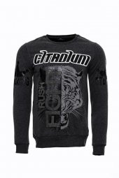 Gri Taşlı Baskılı Kapşonşlu Sweatshirt - 3