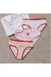 Kız Çocuk Desenli 3Lü Külot thumbnail 1