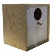 Evcilal Muhabbet Kuşu Tahta Yuvalık - 2