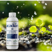 ACADİAN LSC 1L - 1