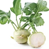 Yerli Ata Tohumu Beyaz Alabaş 25 Adet thumbnail 1