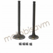 SUBAP TAKIMI SPACY 110 - RKS SPONTINI 110 [VTC] thumbnail 1