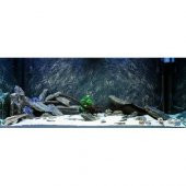 10 kg Gnays Kaya Orijinal 1.Kalite Doğal Dekoratif Simli Gnays - 3