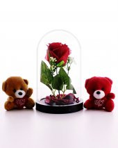Fanusta Led Işıklı Kırmızı Gül ve 2 Adet Mini Ayıcıklar Set Sevgiliye Hediye 01C - 1