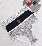 BAYAN KÜLOT-BİG SİZE (3li Paket) - 1
