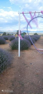 4 Demet Doğal lavanta demeti - 3