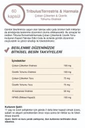 Tribulus Terrestris Çoban Çökerten &Üzerlik Tohumu Ekstresi - 4