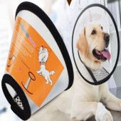 Köpek Elizabet Yakalık 9 Cm 22 Cm - 1