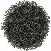 Rapiska Tohumu Kanola Tohumu Şalgam Tohumu 500 Gram - 1