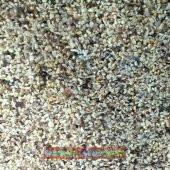 Akvaryum Saf Midye Kırığı Kumu Doğal Midye Kırığı Orjinal 1 Kg - 1