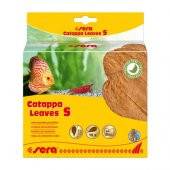 Sera Catappa Leaves Hint Bademi Yaprağı S 14 Cm (10 Adet) - 1