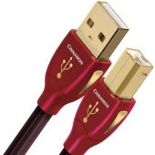 Audioquest Cinnamon USB A-B Kablo 3 mt - 1