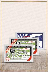 Viktoria Kumaş Boyası Filizi Açık 2Pk+Fiske Sabitleme 1Pk - 1