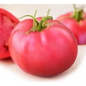 Yerli Ata Tohumu Pembe Domates 50 Adet thumbnail 1