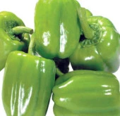 Yerli Ata Tohumu Dolma Biber 100 Adet thumbnail 1