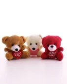 3 Adet Sevimli Mini Ayıcıklar Hediyelik Anahtarlık Set - 3
