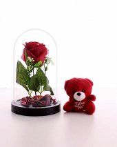 Fanusta Led Işıklı Kırmızı Gül ve Kırmızı Mini Ayıcık Set Sevgiliye Hediye 01W - 1