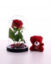 Fanusta Led Işıklı Kırmızı Gül ve Kırmızı Mini Ayıcık Set Sevgiliye Hediye 01W - 2