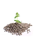 Kompoze Gübre 1 Kg - 1