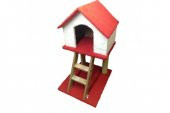 Merdivenli Kedi Evi - 1