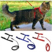 Pratik Kedi Tasması Ayarlanabilir Yavru ve Yetişkin Kedi Bel ve Göğüs Tasması 120 cm - 3