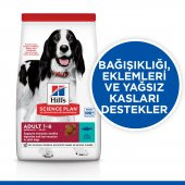 Hills SCIENCE PLAN Yetişkin Orta Irk Ton Balıklı & Pirinçli Köpek Maması 10+2 kg - 2