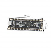 STM32F401CCU6 Black Pill 86MHz - 256kB Geliştirme Kartı - 7