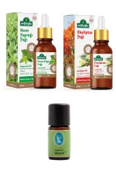 Arifoğlu Mentol Set Arifoğlu Nane Yağı 20 ml - Okaliptus Yağı 20 ml - Nuka Organik Niaouli Yağı 5 ml. - 1
