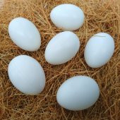 10 Adet Sahte Tavuk Yumurtası  Tavuk Yapay Yumurta ( Sarı -Beyaz) - 1