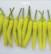 Yerli Ata Tohumu Sarı Süs Biberi 50 Adet thumbnail 1