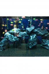 5 kg Gnays Kaya Black angel rock 1.Kalite Doğal Dekoratif Siyah Gnays Kaya - 3