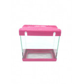 34akvaryu Renkli Kapak Cam Betalık 22x22x12cm - 1