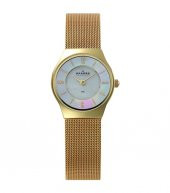 Skagen SKA233XSGG Kadın Kol Saati - 1