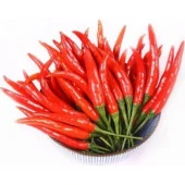 Hobi Tohumu Çok Acı Hint Biberi 50 Adet thumbnail 1