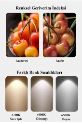 Philips 8W (60W) Led Ampul Sarı 2700K (12 Adet) Tasarruflu Lamba thumbnail 6